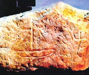 pinakida